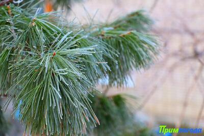 Во вторник существенных изменений в погоде не ожидается