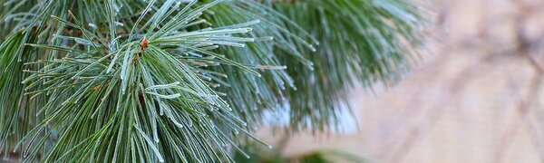 Во вторник существенных изменений в погоде не ожидается