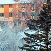 В начале марта в Приморье задержатся морозные ночи