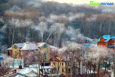 В начале марта в Приморье задержатся морозные ночи