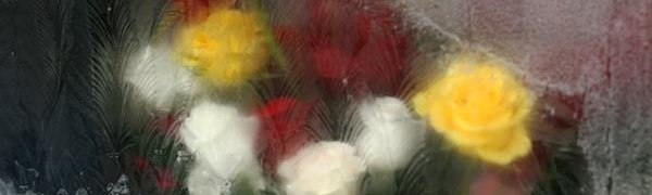 На 8 Марта во Владивостоке выпадет снег