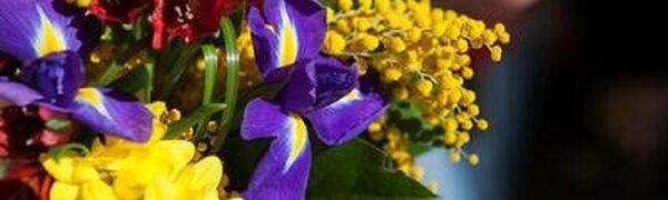 Какая погода будет 1 сентября в Приморье?