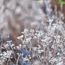 К концу января температура в Приморье приблизится к норме
