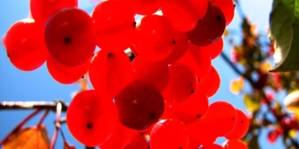 Теплая солнечная погода пожаловала в Приморье