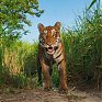 National Geographic: Фотографии недели 