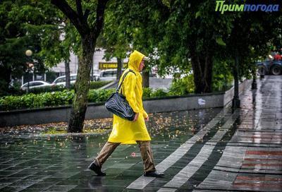 Синоптики рассказали, когда в Приморье прекратится сильный и очень дождь