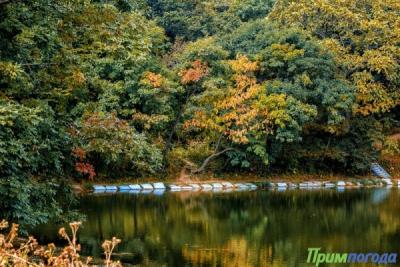 Выходные дни в Приморье будут дождливыми и прохладными