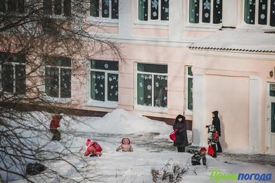 Уходящий год в Приморье завершится умеренно холодной погодой Уходящий год в Приморье завершится умеренно холодной погодой