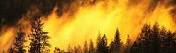 За сутки на ДВ потушено 10 из 26 пожаров