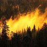 За сутки на ДВ потушено 10 из 26 пожаров
