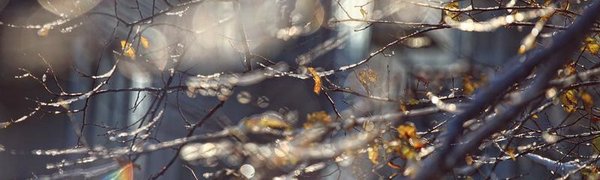В Приморье ждут заморозки и первый гололёд