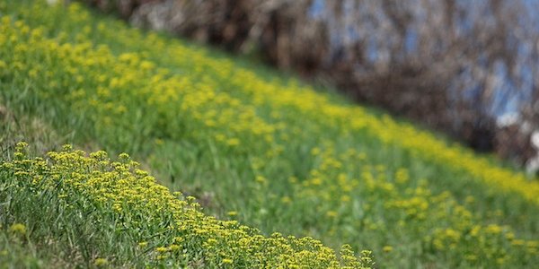 Тихоокеанский антициклон обеспечивает теплую и ясную погоду в Приморье
