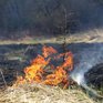 В Приморье преобладает 2–3 класс пожароопасности леса