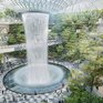 В аэропорте Сингапура построили самый высокий в мире крытый водопад