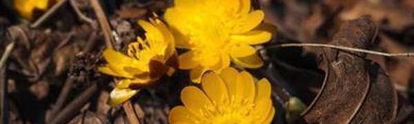 Во вторник столбики термометров в Приморье поползут вверх