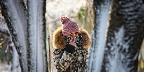 Из-за сильного ветра мороз во Владивостоке будет ощущаться на уровне −25 °C