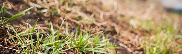 Погода в Приморье: март уходит, а дождливая погода остается
