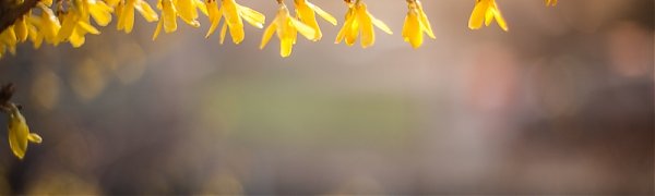 Апрель в Приморье будет прохладным и влажным