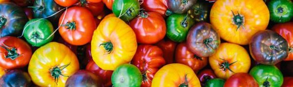 Во Владивостоке на выходных будет работать продуктовая ярмарка