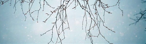 Календарная зима в Приморье завершится небольшим снегом
