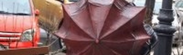 Дальний Восток: на юге региона сильные дожди