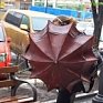 Дальний Восток: на юге региона сильные дожди