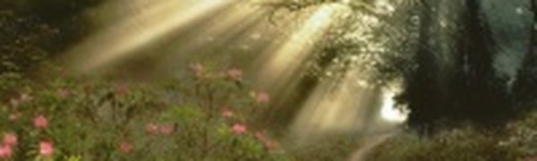 Ультрафиолетовое излучение на территории РФ на выходных будет в норме