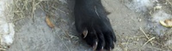 Успеть на выходных: посетить зоопарк и помочь зверятам