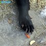 Успеть на выходных: посетить зоопарк и помочь зверятам