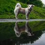 Лето в Приморье началось с прохлады и дождей