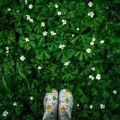 Лето в Приморье началось с прохлады и дождей