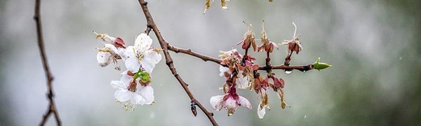 В среду погода во Владивостоке сохранится без изменений