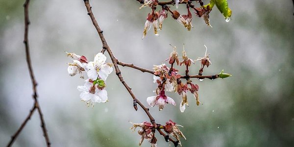 Лето в Приморье началось с прохлады и дождей