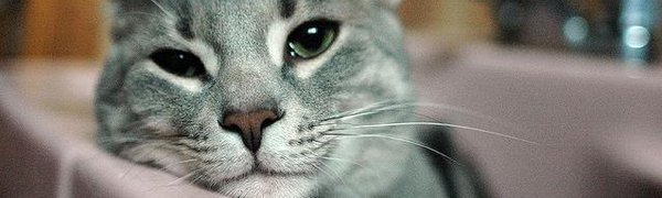 Гидравлические испытания завершаются на Эгершельде и в центре Владивостока