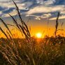 Ученые спрогнозировали, что Землю ждёт самый жаркий год