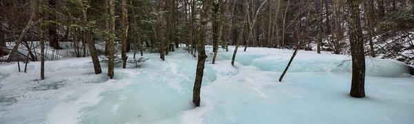 Синоптики уточнили прогноз погоды на первые выходные февраля в Приморье