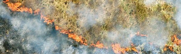 В выходные в Приморье сохранится высокий класс пожарной опасности