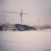 Во Владивостоке упала главная новогодняя елка
