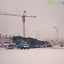 Во Владивостоке упала главная новогодняя елка