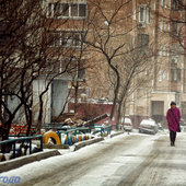 Вчера во Владивостоке прошел снег