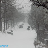 Первая метель этой зимы