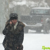 Первая метель этой зимы