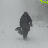 Первая метель этой зимы