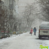 Первая метель этой зимы
