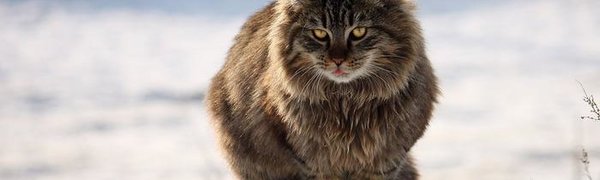 Самым холодным днём недели в Приморье станет 7 февраля