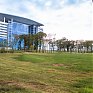 Остров Русский: осень в кампусе