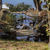 Остров Русский: осень в кампусе