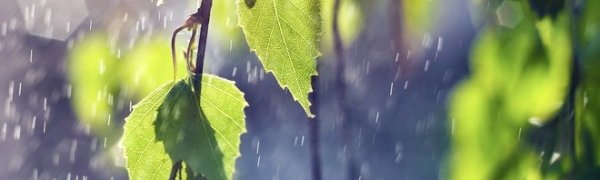 Экс-тайфун «Ноул» окажет влияние на погоду на Дальнем Востоке