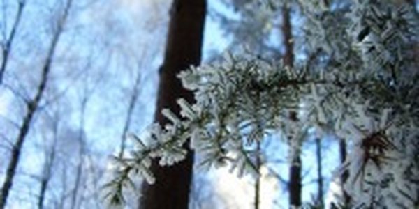 Воскресный день вновь выдался в Приморье теплей, чем субботний