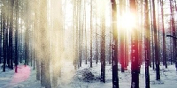 Завтра в Приморье похолодает